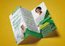 design real estate brochure design, brochure design for business, trifold design